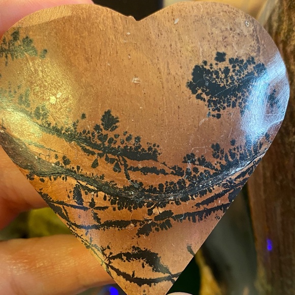 Bundle for @pbieds 3/2/26 - Picture 3 of 9